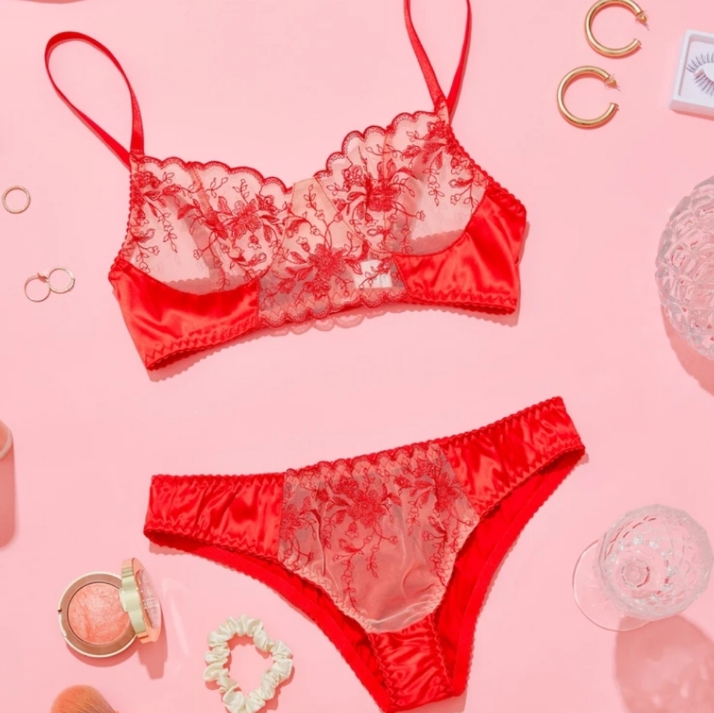 NWT Foxy Cleopatra lingerie set